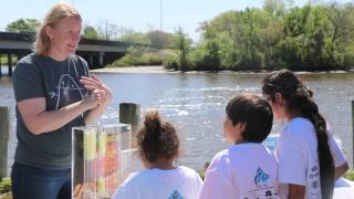 Trash Bash Wrap Up 2015