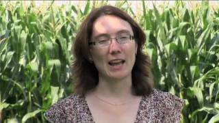 Meet an Ontario Grain Farmer Video