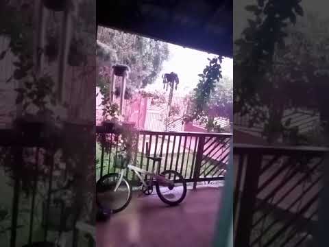 Chuvas fortes em Cornélio Procópio Paraná, com descargas elétricas e raios. neste dia 1/11/025