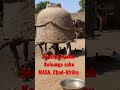 Rumah Keluarga Suku MASSA Chad Afrika