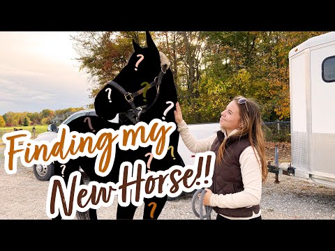 GETTING my NEW HORSE!! | Hailey Liberty