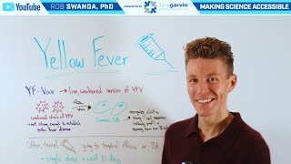 How the Yellow Fever Vaccine (YF-Vax) Works