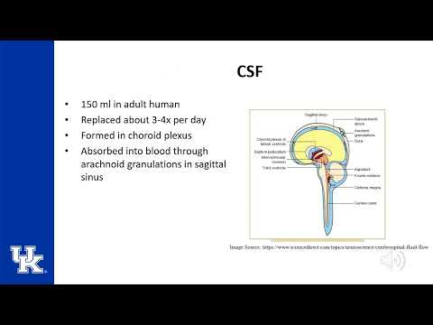 Neuroanesthesia Keyword Review ITE - (Dr. Poore)