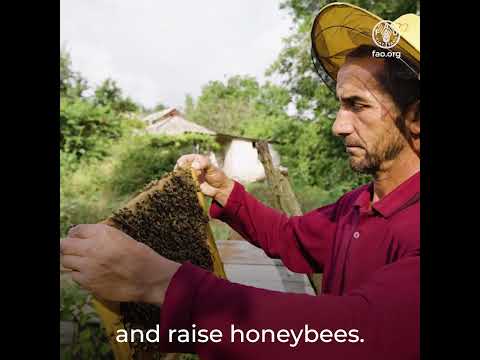 Discover Almosi Valley in Tajikistan