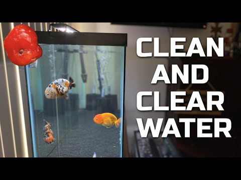 CRYSTAL CLEAR WATER - How to Get Clear Water in a Goldfish Tank