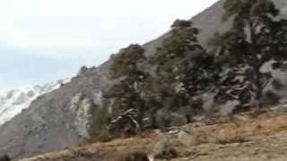 Sendero de la Rubía
