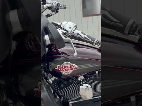 動画を見る