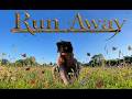 ~Run Away~.✨Short Therian Film✨ for Alterhumans Otherpaws Otherhearts Otherkins therians and more!