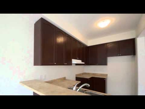 109 Naperton Drive Brampton