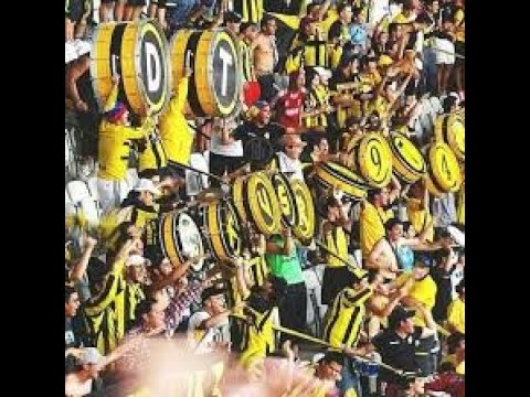 "Hay que alentar de corazón.. ðŸŽ¶ . | AVALANCHA SUR 1997 | ðŸ’›ðŸ”¥ðŸ”. Â¡PIONEROS DEL BARRISMO EN" Barra: Avalancha Sur • Club: Deportivo Táchira