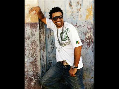 Shaggy  feat. Gary Nesta Pine - Fly High