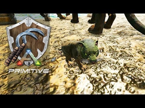 ARK PRIMITIVE T2 EP35 - Nosso Baby Sabertooth, O menor tigre que você ja viu!