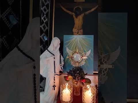 Adoracion Al Santisimo Sagramento del Altar con el Padre Fabian Esteban Oliva. 05/08/26
