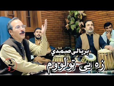 Baryali Samadi | ZA Ye TOLAWOM | New Song |2025 | د حجري مجلس | زه یی ټولووم | New official Video