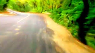 DUANE EDDY-WILDWOOD FLOWER