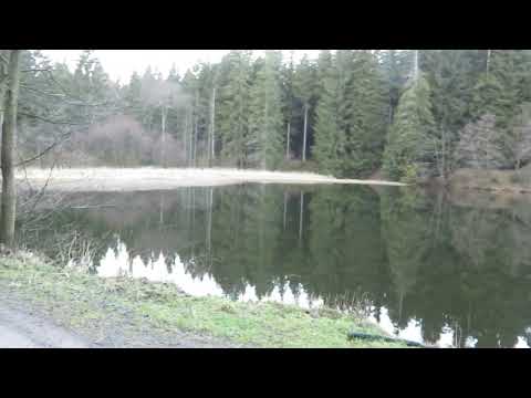 Stempelstelle 48 Stierbergsteich - Harzer Wandernadel