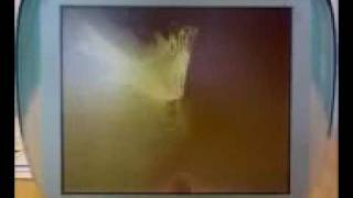 ibook G3 Clamshell playing Shwayze &quot;Fancy Cars&quot;