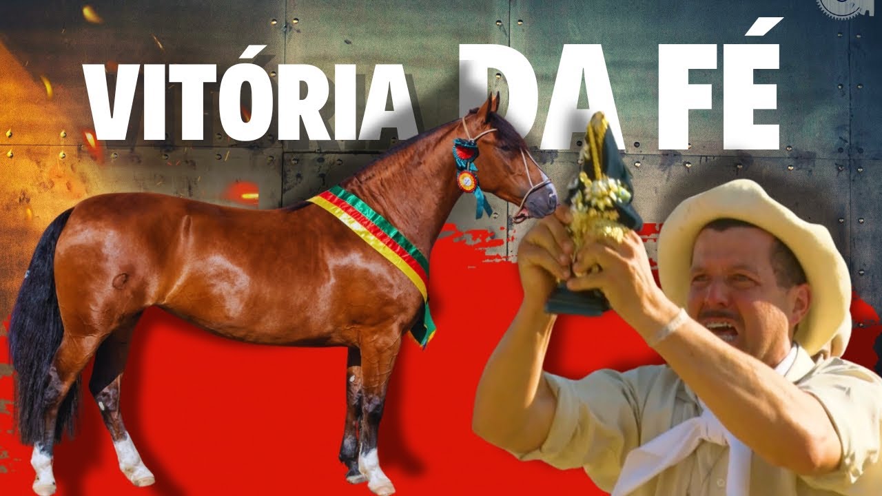 Fé, trabalho e tradição gaúcha dão as rédeas na Cabanha Padroeira - Cavalos  Crioulos