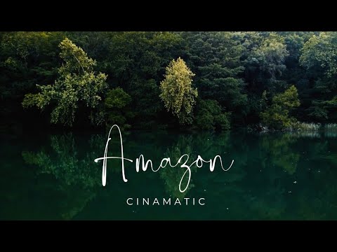Amazon forest cinamatic video | Visual wave |