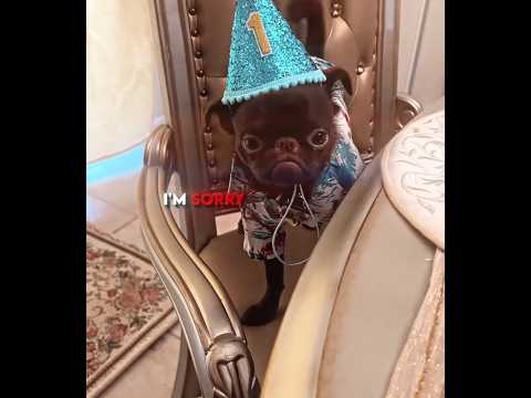 His First Birthday... And Nobody Came! 😢🎂