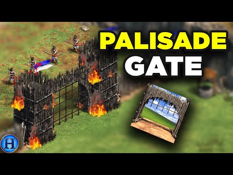 Lets Talk About The Palisade Gate | AoE2