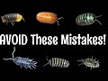 10 Isopod MISTAKES to Avoid
