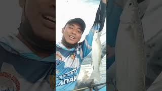 Download lagu Senyum manis ketika strike belanak babon yang menjadi target mp3