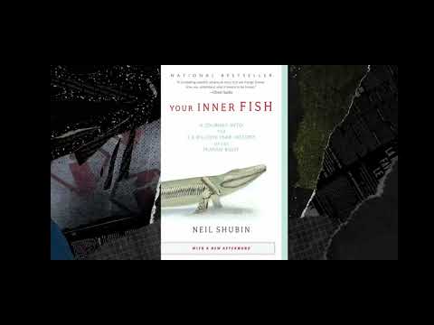 Infoman pouce 2 phalanges