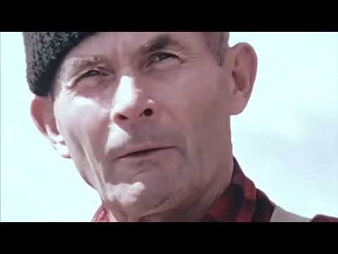 Cabin Alone in the Alaskan Wilderness -The Life of Dick Proenneke