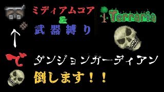【Terraria】ミディアムコアと武器縛りで死ぬテラリア【マルチ実況】part6