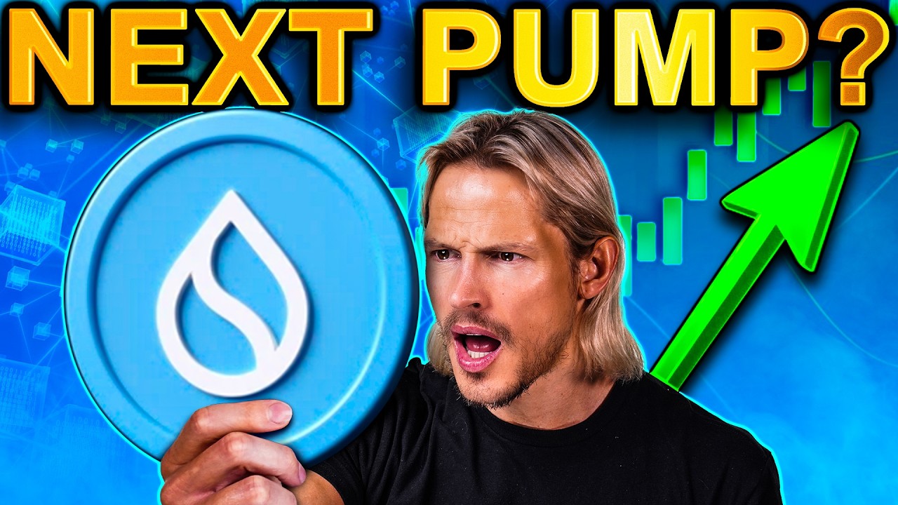 SUI 2025 Predictions You Can't MISS! Top 10 Crypto Soon?!