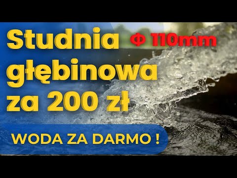 FOX GARDEN - HOW TO MAKE A DEEP WELL FOR PLN 200 - WATER FOR FREE - ABISINKA #foxgarden