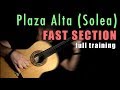 Plaza Alta (Fast Section) by Paco de Lucia - Full Training - Card Links