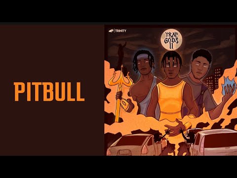 TRINITY 3NITY - PITBULL (C/ Slim Boy, Gianni Stallone & A'G) (Visualizer Oficial) | #TRAPGODS2