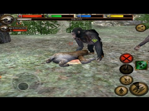 The Sloth, Ultimate Jungle Simulator, By Gluten Free games - YouTube