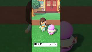 ホッケーー！？！？ ヘルメットは！？ #あつまれどうぶつの森