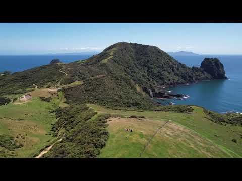 Fletchers Bay  - Coromandel Peninsula 2022