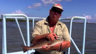 preview picture of video 'Fishing Charter Port Isabel TX (956) 346-0140 Captain Cliff Fishing Charter Port Isabel Texas'