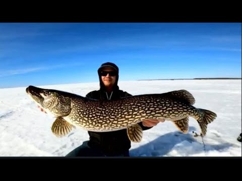 Amazing Giant Fish Fishing in the ice river - Amazing Fastest Ice Fishing Skills