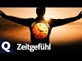 Innere Uhr: So gibt der Tag-Nacht-Rhythmus den Takt vor | Quarks