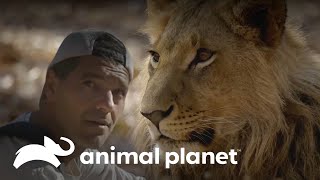 Thumbnail del capítulo