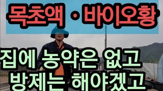 집에 농약이 없다? 급하면 이걸로 방제하세요~