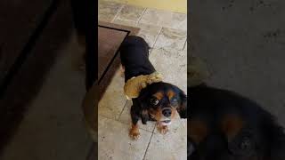 Best Friends help each other!