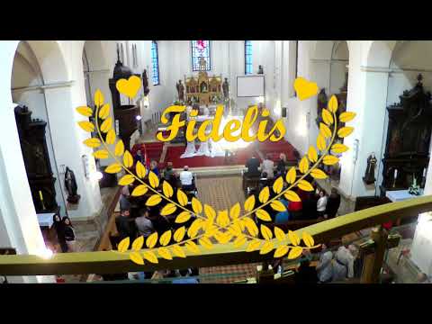 Fidelis - Uđite s hvalama (Samobor - vjenčanje)