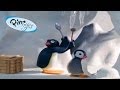 Pingu Pingu Makes Music