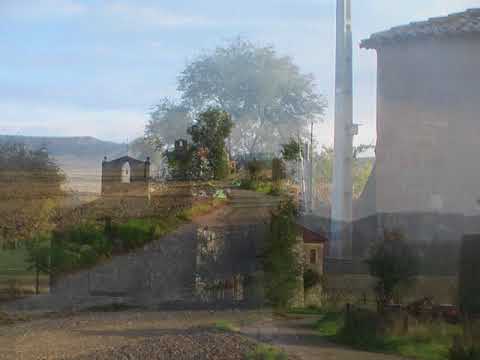 POBLACION de Cerrato, año 2013