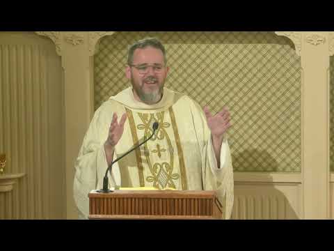 Readings and Homily - 2026-01-11 - Fr. John Maria Devaney, OP