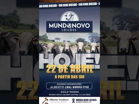 3 ° LEILÃO DO  MUNDO NOVO LEILÕES 22/04/2026