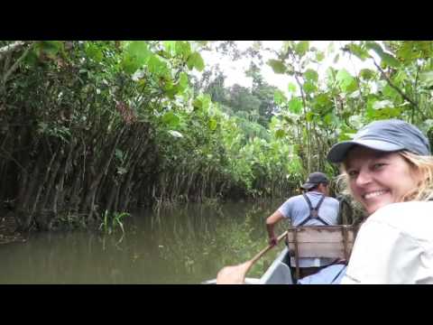 Canoeing on Challwayacu and Smurf at Sani Lodge