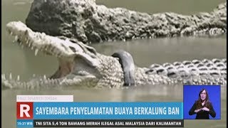 Download lagu Sayembara Menyelamatkan Buaya Berkalung Ban | REDAKSI SORE (02/02/20) mp3